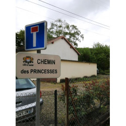 Panneau de rue E60 (en résine thermoplastique) I WP Signalisation