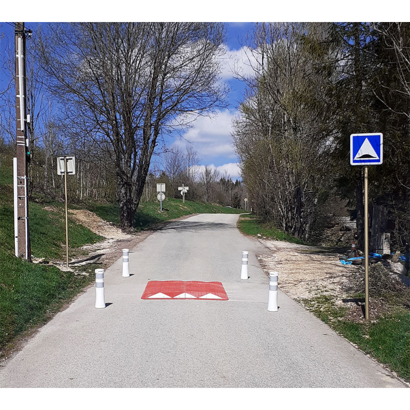 COUSSIN BERLINOIS ROUGE BRIQUE - 30003091 l WP Signalisation