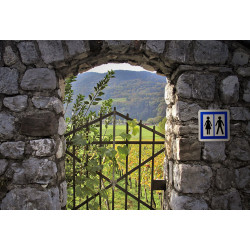 Panneau services toilettes ouvertes au public CE12 | Village et/ou lieu touristique