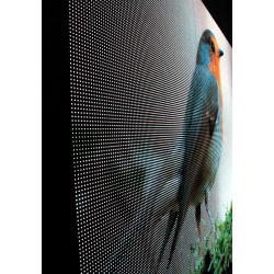 Afficheur numérique ecran LEDS extérieur l Station Service l WP Signalisation