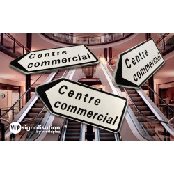 Panneau directionnel pour centre commercial et centre ville D21b2 | 360 degrés | WPSignalisation