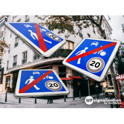 Panneau zone circulation sortie d'une zone de rencontre B53 | WP Signalisation