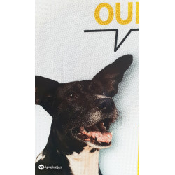 Panneau personnalisé chien l WP Signalisation