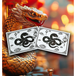 Panneau personnalisé nouvel an chinois - serpent l WP Signalisation