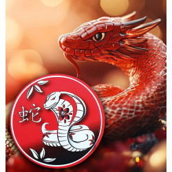 Panneau personnalisé nouvel an chinois - serpent l WP Signalisation