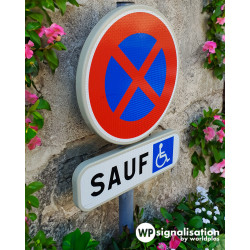 Panneau de stationnement B6D - Arrêt et stationnement interdits l WP Signalisation