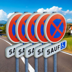 5 unités - Pack Panneau de stationnement B6D + Panonceau M6H  I WPS